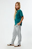 PacSun Kids Heather Grey Pacific Sunwear Sweatpants