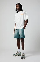 Pacsun Green Potassium Fleece Volley Sweat Shorts