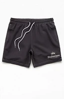 Budweiser By PacSun Crown 6.5" Swim Trunks