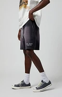Pacsun Potassium Fleece Volley Sweat Shorts