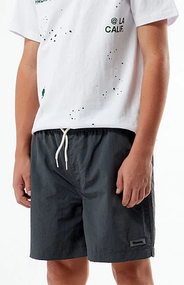 Pacsun Kids Collegiate 4.5" Swim Trunks