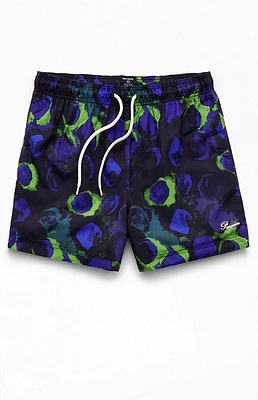 PacSun Shells 4.5" Swim Trunks