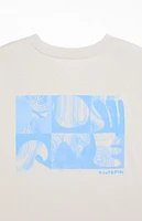 Billabong Elements T-Shirt