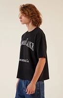 Pacsun Lake Boxy Cropped T-Shirt