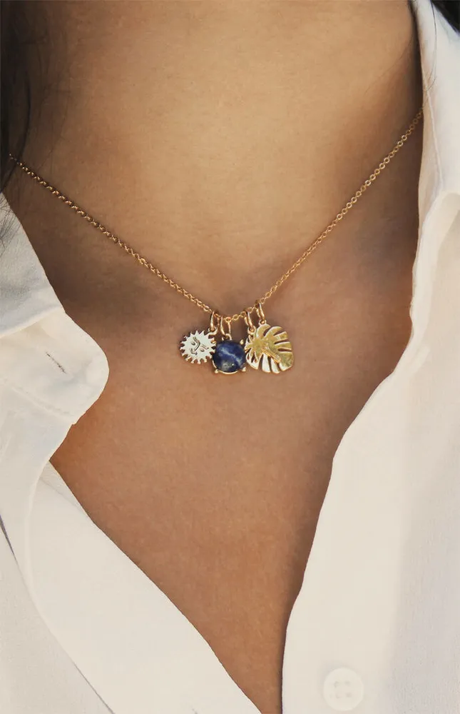 Ettika Tropical Getaway Interchangeable Necklace