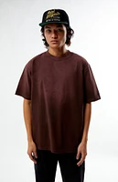 PacSun Premium Potassium Wash T-Shirt