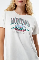 PacSun Montana Vintage Relaxed T-Shirt