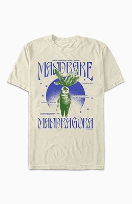 Mandrake Mandragora T-Shirt