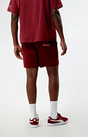Budweiser By PacSun Banner Mesh Basketball Shorts