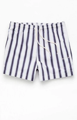 Pacsun Mandarin Charcoal Striped 4.5'' Swim Trunks