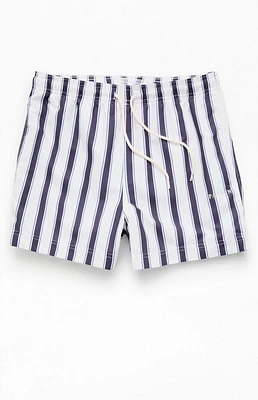 PacSun Mandarin Charcoal Striped 4.5'' Swim Trunks