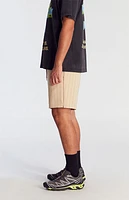 Pacsun Tan Striped Volley Shorts