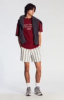Pacsun Navy Striped Textured Volley Shorts
