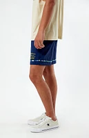 PacSun Script Nylon Shorts