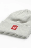 Budweiser By PacSun Ribbed Beanie