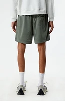 PacSun Pacific Sunwear Mesh Shorts