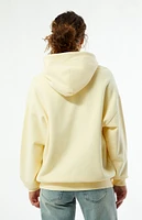 PacSun Core Washed Pullover Hoodie