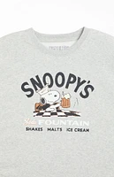 Kids Snoopy Fountain Crew Neck Sweatshirt