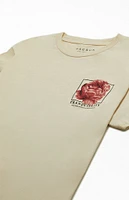 PacSun Tranquility T-Shirt