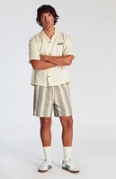 Pacsun Green Striped Textured Volley Shorts