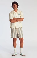 PacSun Green Striped Textured Volley Shorts