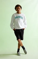 PacSun Kids White Crew Neck Sweatshirt