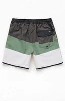 Quiksilver Surfsilk Tijuana Volley 17" Swim Trunks