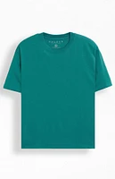 PacSun Premium Solid T-Shirt