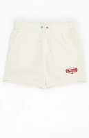 Pacsun Cream Mesh Basketball Shorts