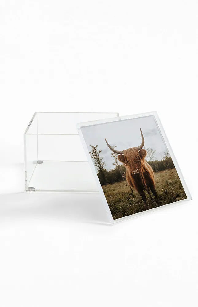 Cow Acrylic Storage Box