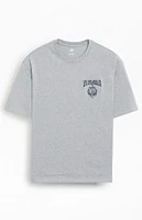 Levi's Timeless Gray T-Shirt