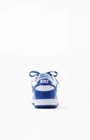 Nike Kentucky Dunk Low Retro Shoes