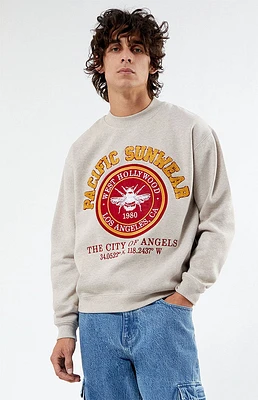 PacSun Pacific Sunwear Chenille Crew Neck Sweatshirt