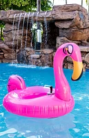 PoolCandy Tube Runner Motorized Flamingo Pool Float
