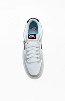 Nike Dunk Low Lottery Gray Shoes