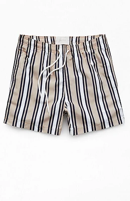 PacSun Multi Stripe 4" Swim Trunks