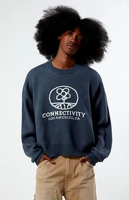 Pacsun Connectivity Cropped Sweater