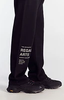 Pacsun Regal Arts Baggy Sweatpants