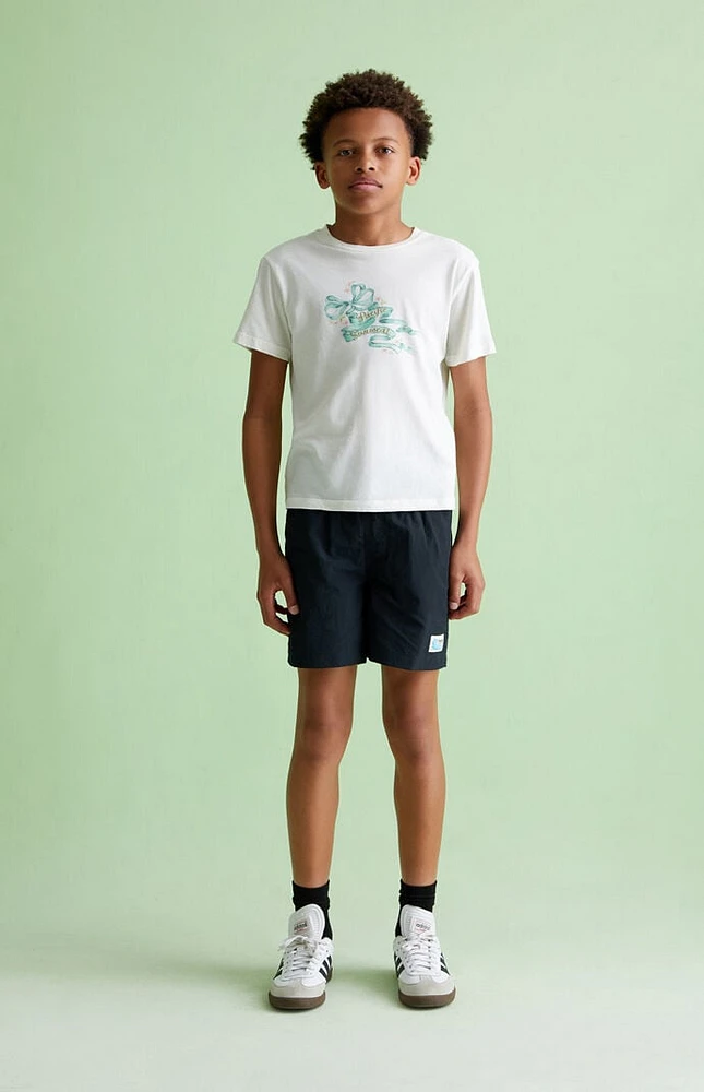 PacSun Kids 4.5" Swim Trunks