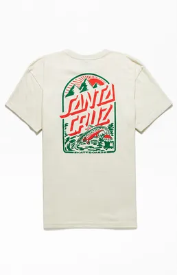 Fruit Stripe Logo T-Shirt, PacSun in 2023