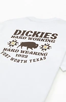 Dickies Hays T-Shirt