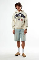 Pacsun Montana Hoodie