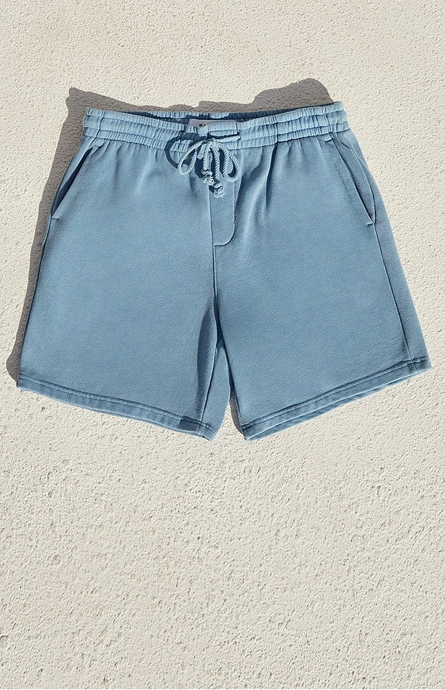 PacSun Solid Fleece Garment Dyed Volley Sweat Shorts