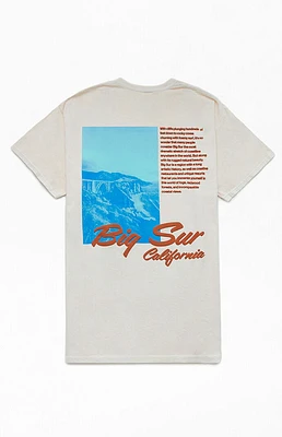 PacSun Big Sur Puff T-Shirt