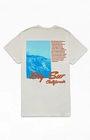 PacSun Big Sur Puff T-Shirt