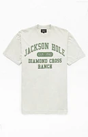 Diamond Cross Ranch Protector T-Shirt