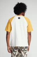 PacSun Boxy Raglan Henley T-Shirt