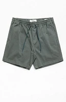 Pacsun Green Volley Shorts