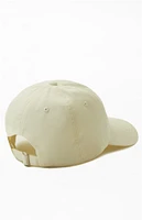 PacSun Take Care Strapback Hat