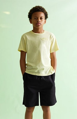 PacSun Kids Woven Volley Shorts